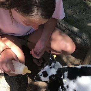 Meet your Posher, Gracie